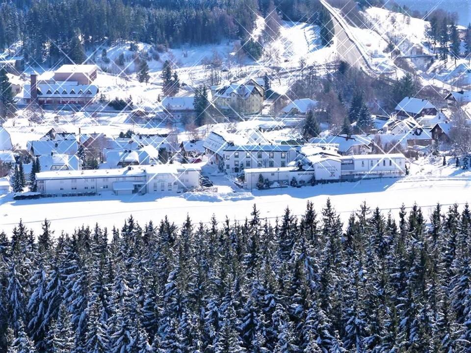 Appartementhaus Regina Am Schluchsee Ngoại thất bức ảnh